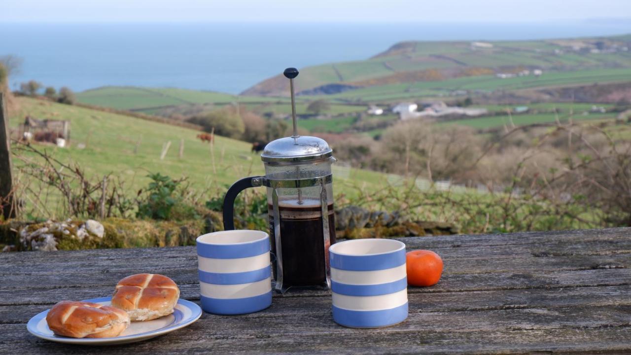 Polrunny Farm Elderberry Cottage With Sea View Boscastle Exterior foto